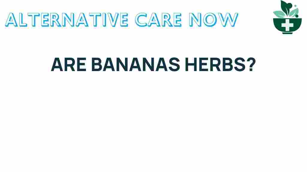 are-bananas-herbs
