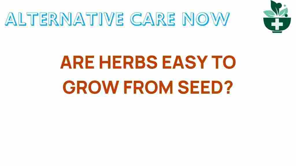 herbs-easy-to-grow-from-seed