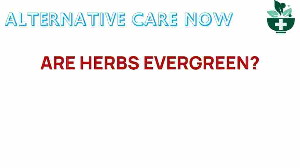 herbs-everlasting-solution