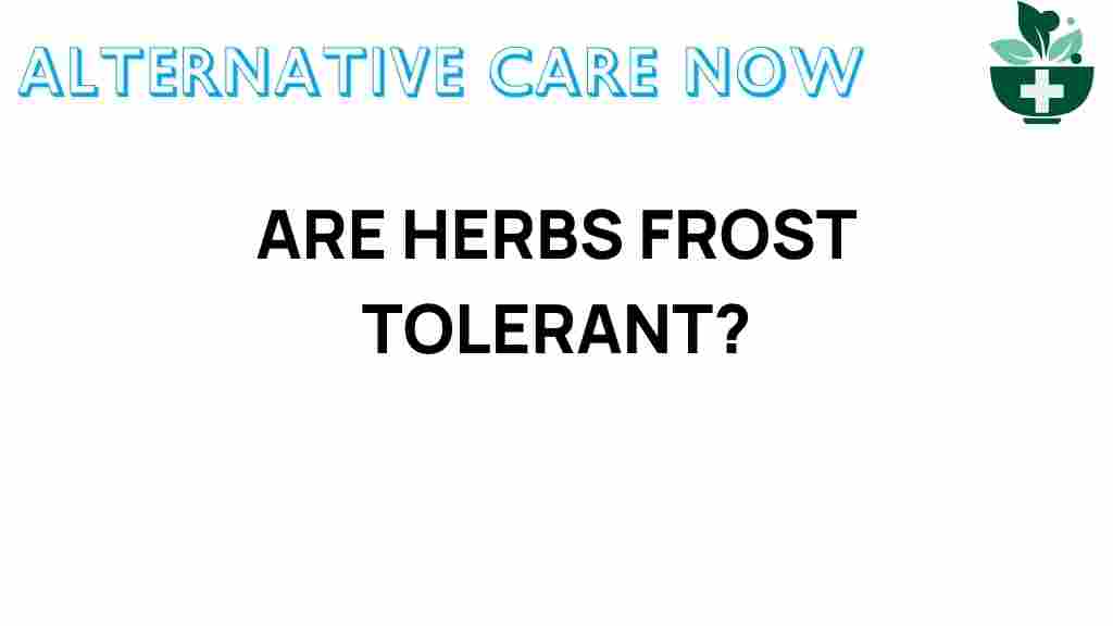 herbs-frost-tolerant