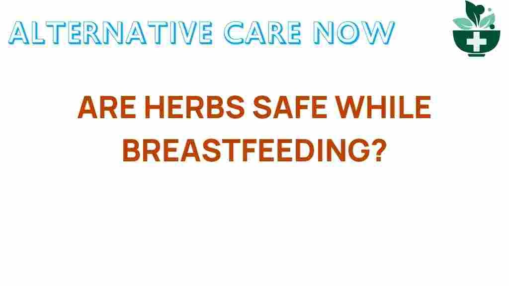 herbs-breastfeeding-safety