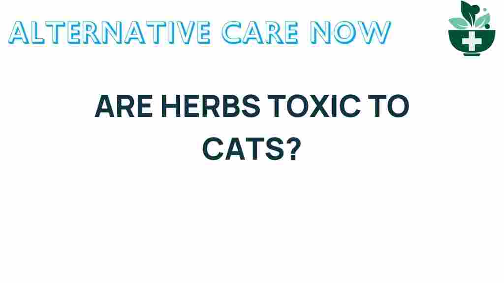 are-herbs-toxic-to-cats