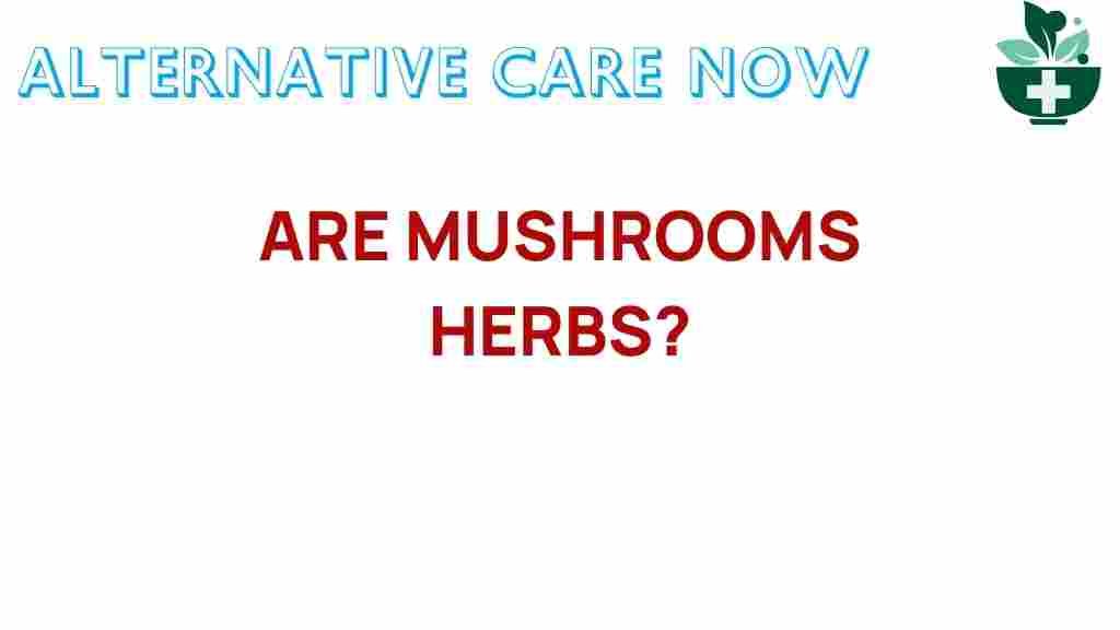 are-mushrooms-herbs