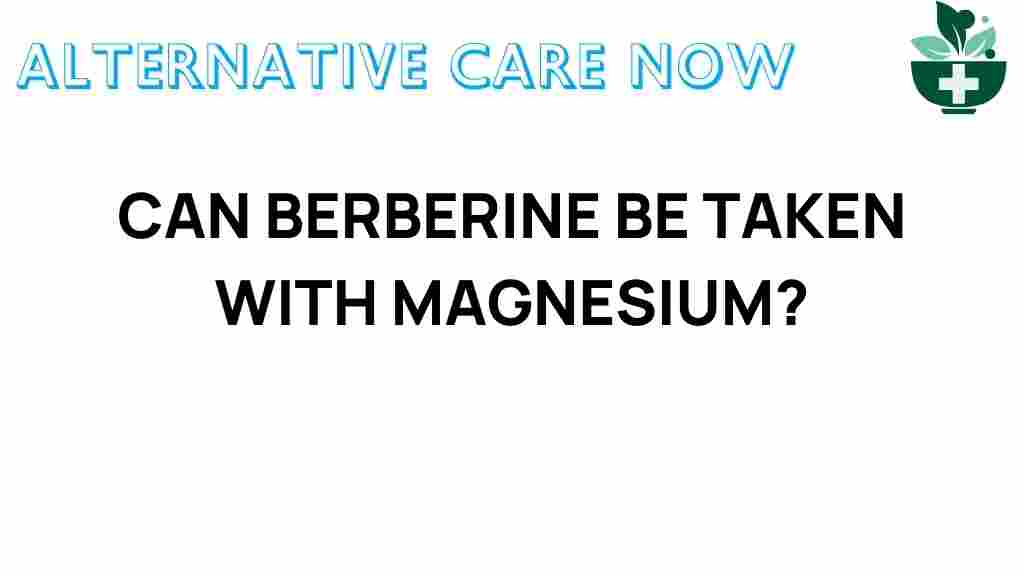 berberine-magnesium-combination