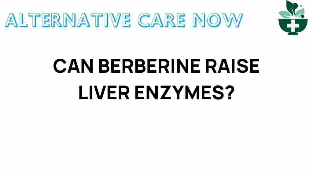 can-berberine-raise-liver-enzymes
