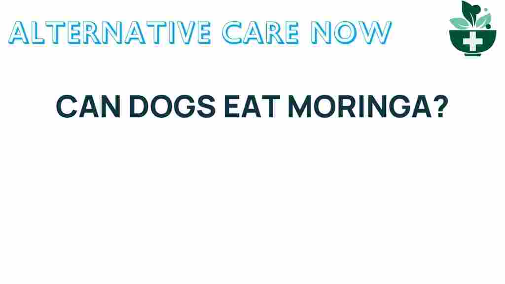 can-dogs-eat-moringa