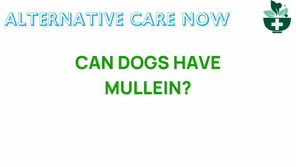 can-dogs-have-mullein