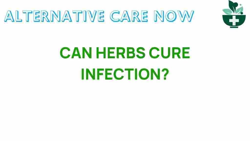 herbs-cure-infection