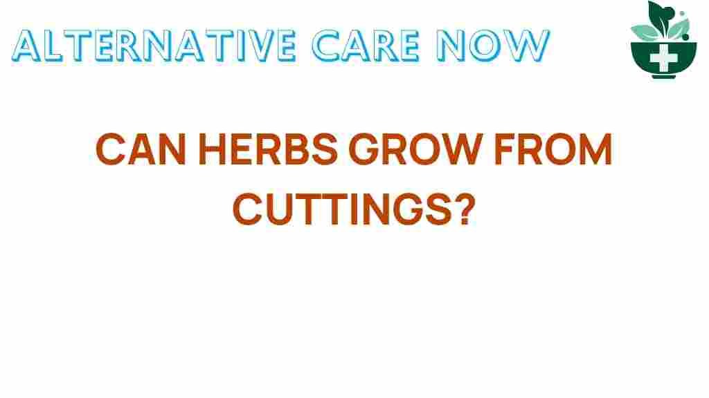 herbs-grow-from-cuttings