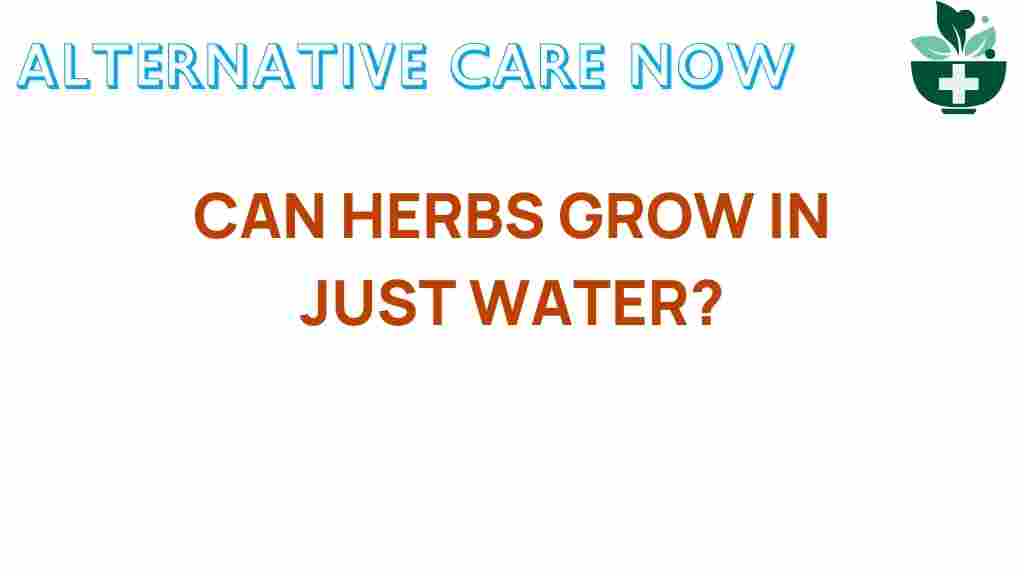 can-herbs-grow-in-just-water