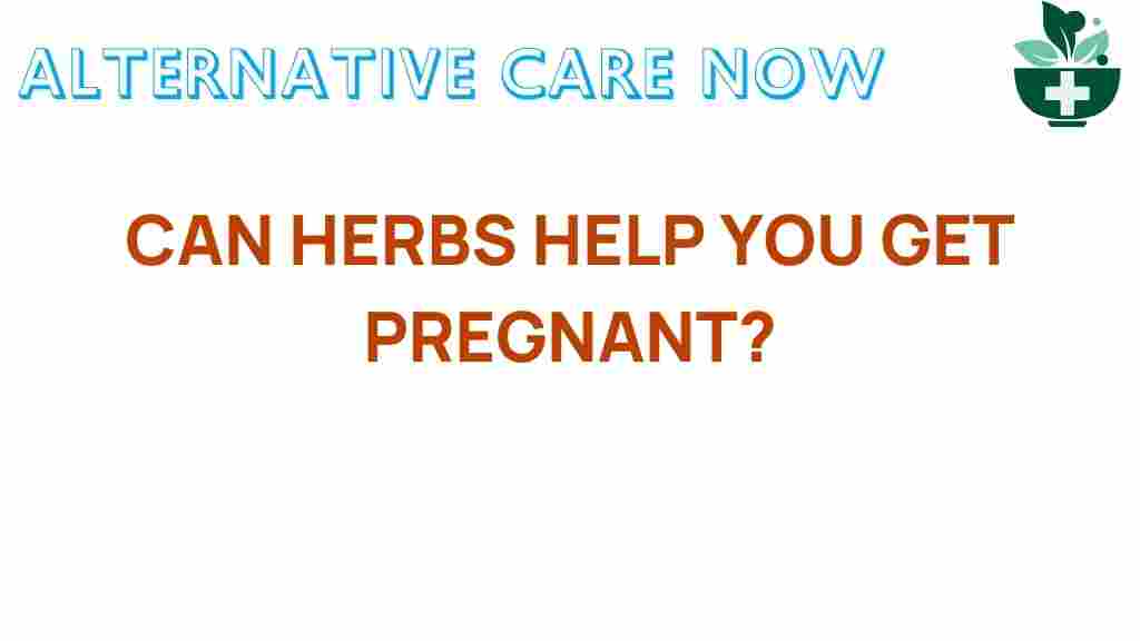 can-herbs-enhance-fertility
