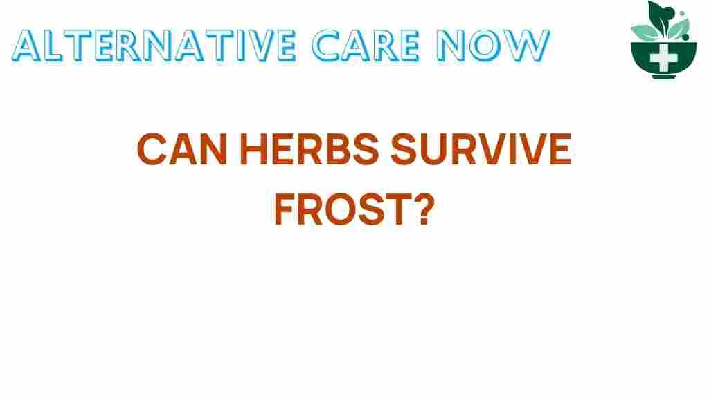 herbs-survive-frost