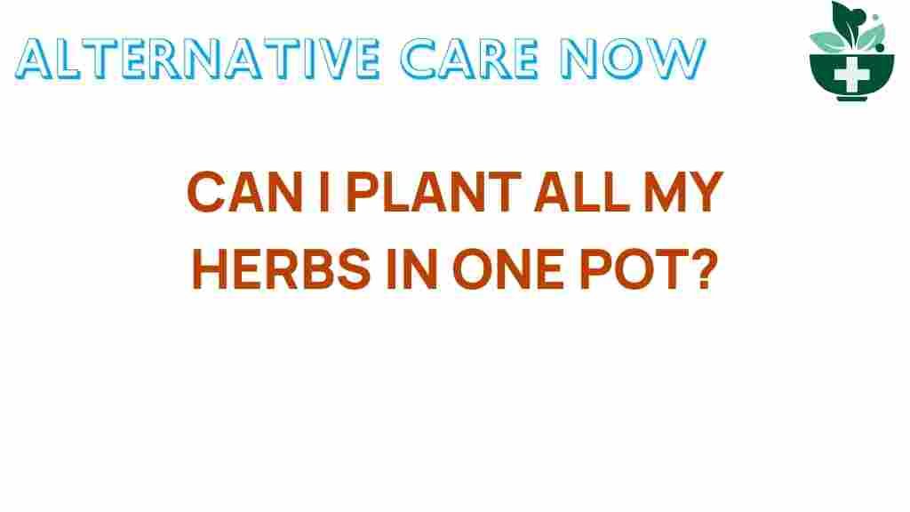 herb-gardening-plant-all-in-one-pot