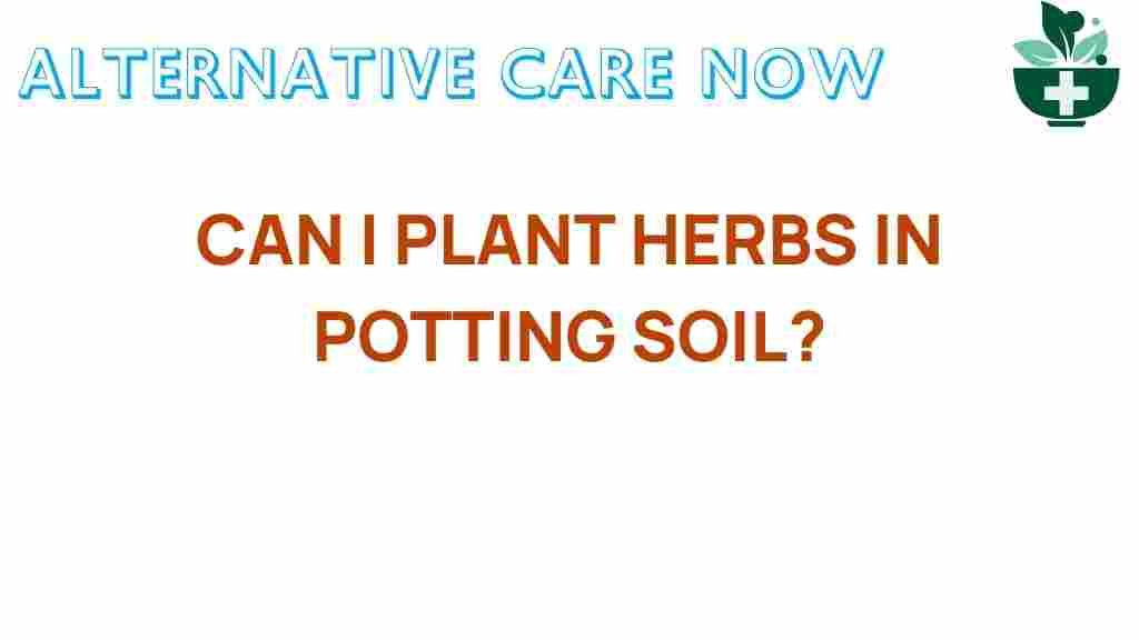 planting-herbs-in-potting-soil