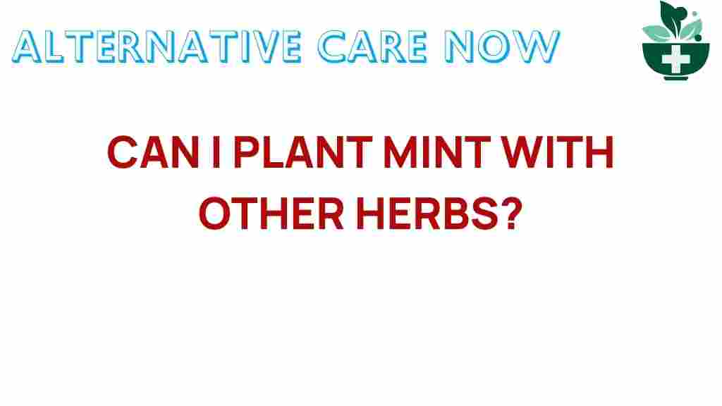 mint-planting-herbs