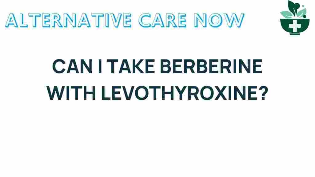 berberine-levothyroxine