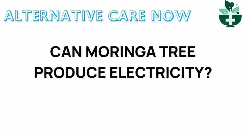 moringa-sustainable-electricity