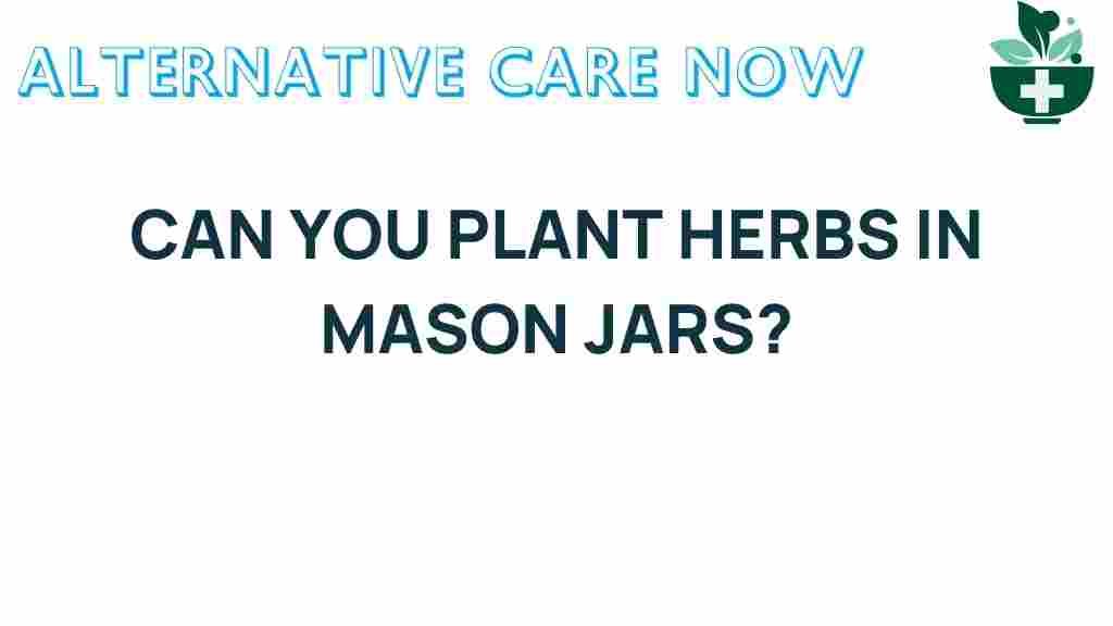 can-you-grow-herbs-in-mason-jars