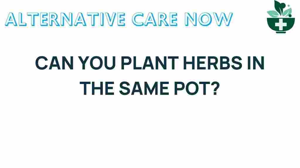 can-you-plant-herbs-together