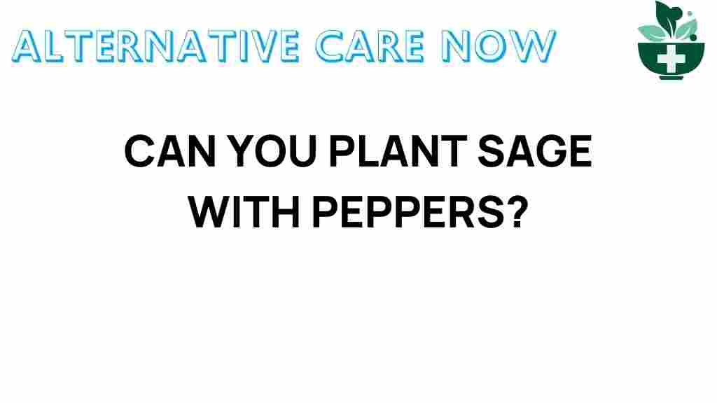 sage-peppers-companion-planting