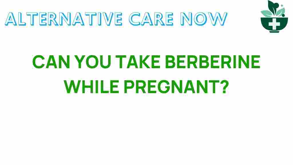 can-you-take-berberine-while-pregnant