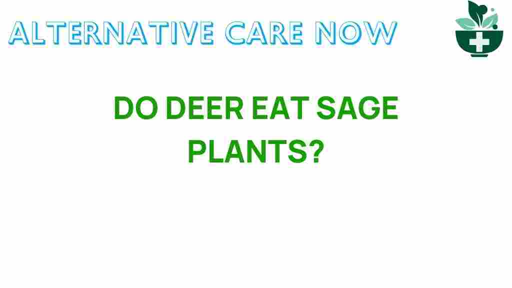 deer-eat-sage-plants