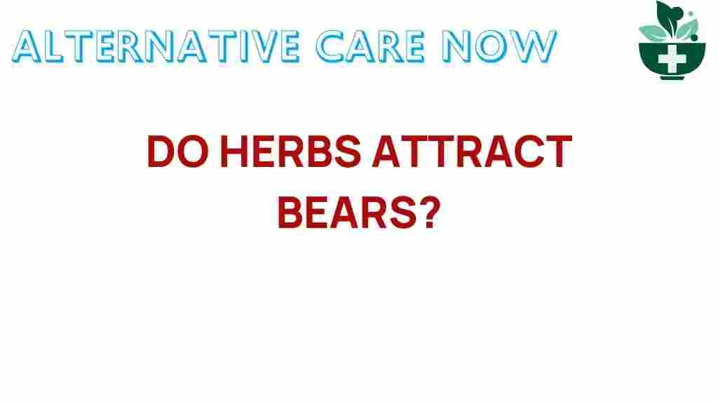 do-herbs-attract-bears