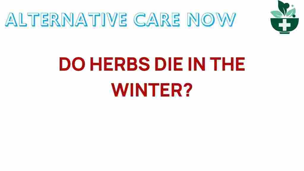 do-herbs-die-in-winter