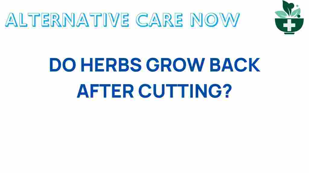 herbs-grow-back-cutting