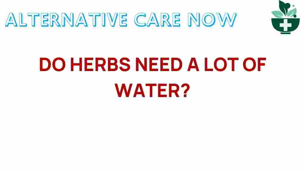 herbs-water-needs
