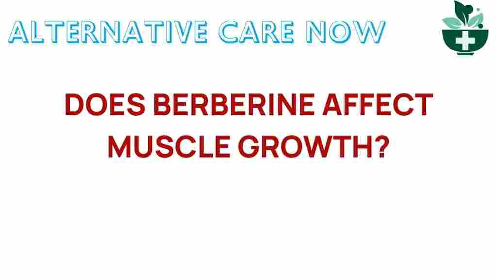 berberine-affect-muscle-growth