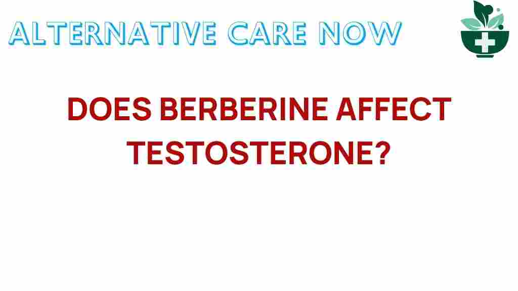 berberine-testosterone-influence