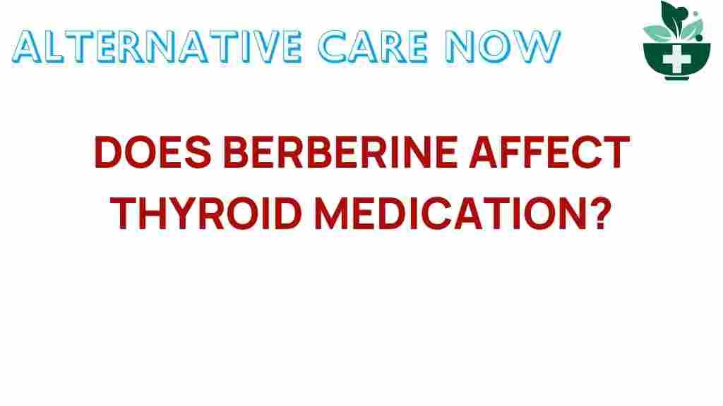 berberine-thyroid-medication-impact