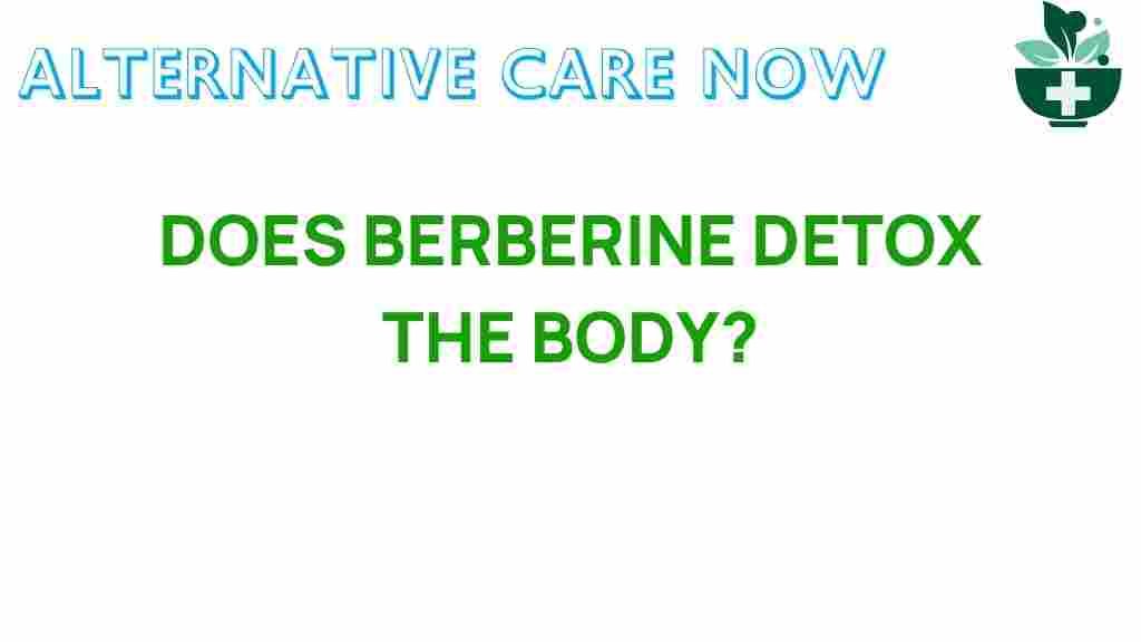 berberine-detox-body