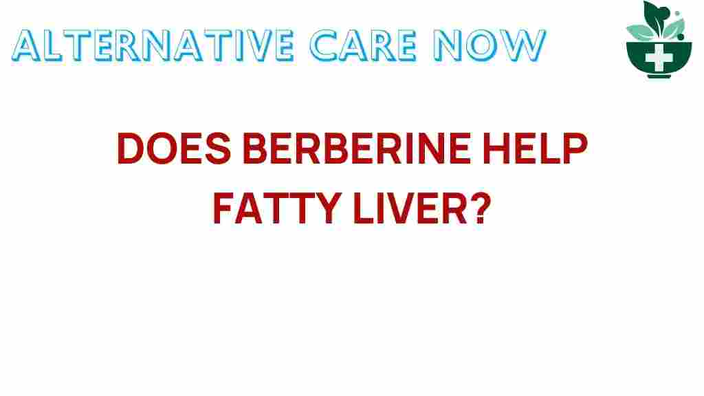 berberine-help-fatty-liver