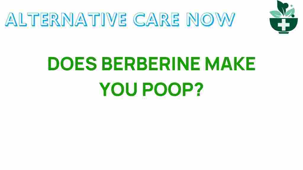 berberine-digestive-health