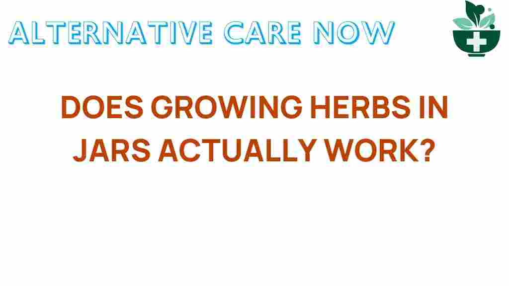 growing-herbs-in-jars
