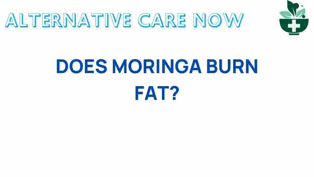 moringa-burn-fat