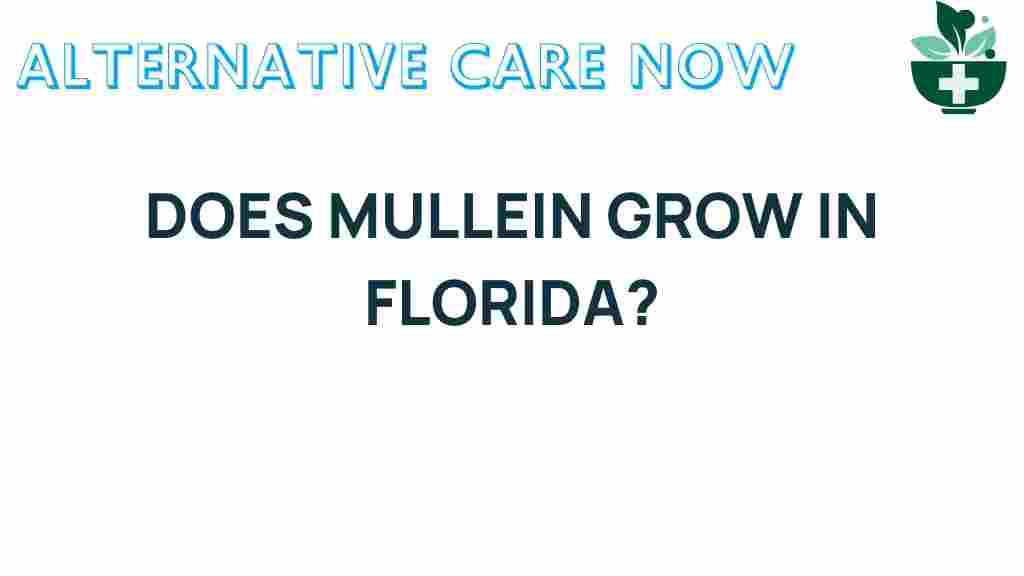 mullein-grow-florida