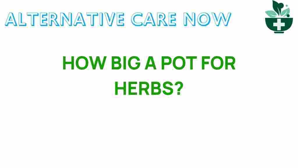 how-big-a-pot-for-herbs