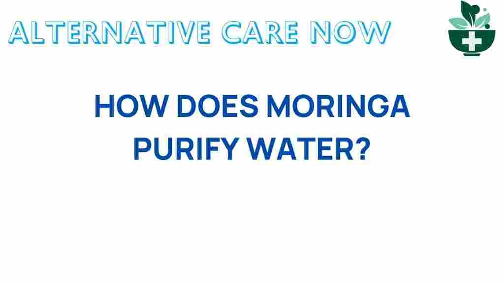 unlocking-natures-secret-moringa-purifies-water