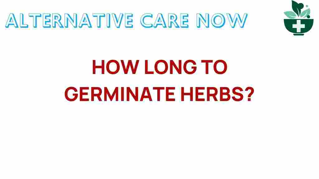 germinate-herbs-success