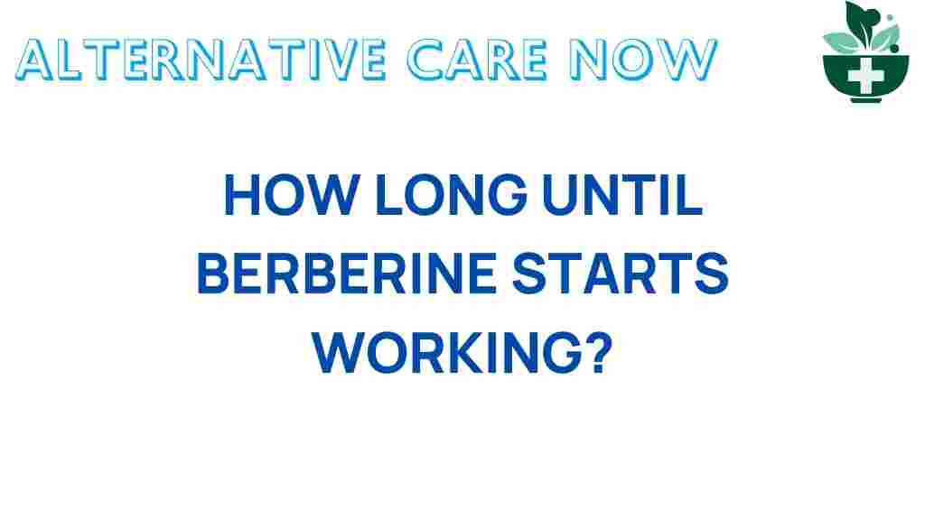 how-long-berberine-takes-to-work