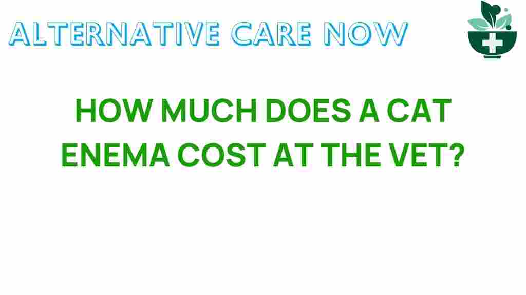 cat-enema-cost-vet