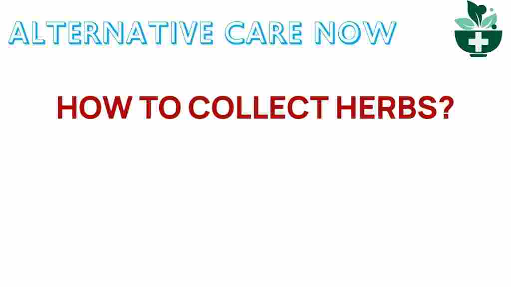 herb-collection-guide
