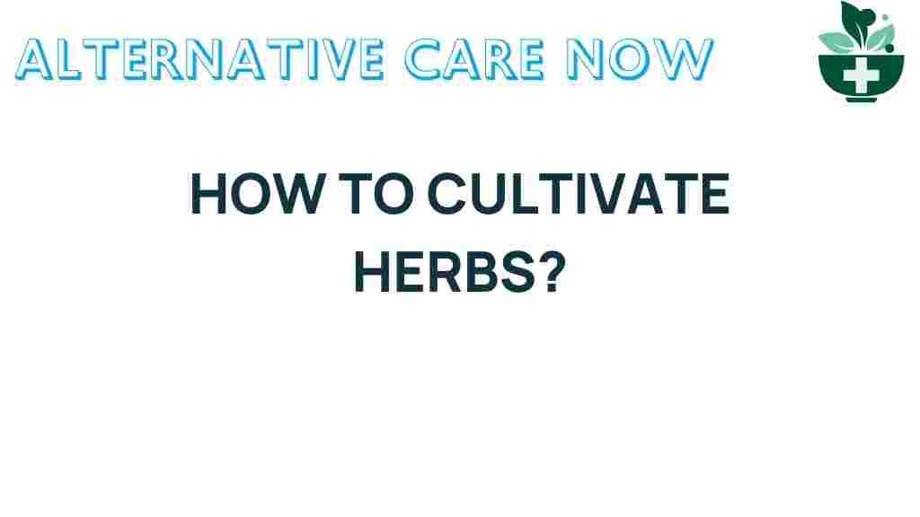 cultivate-herbs-for-flavor-health