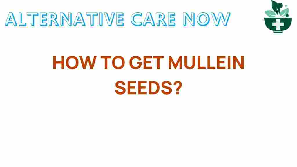 get-mullein-seeds