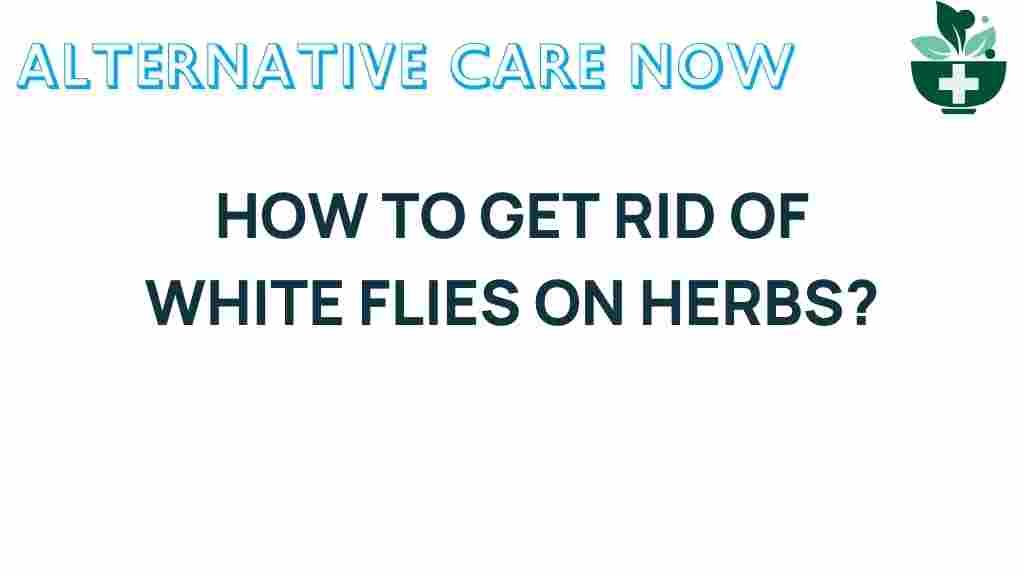 eliminate-white-flies-herbs