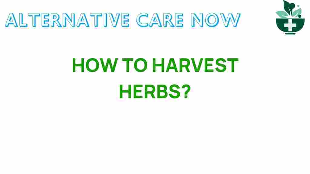 herb-harvesting-techniques