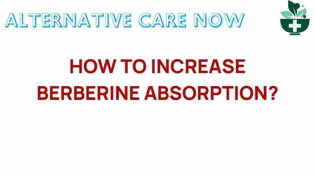 unlock-berberine-absorption